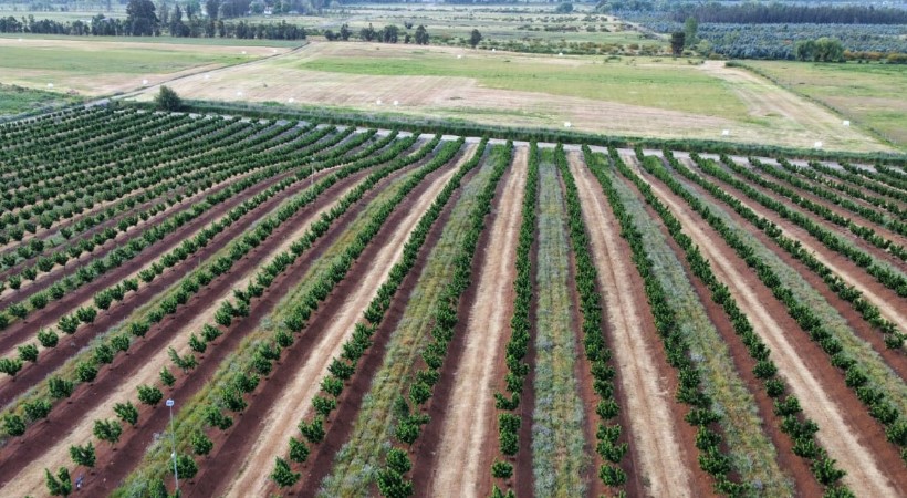 Imagen de campos agrícolas