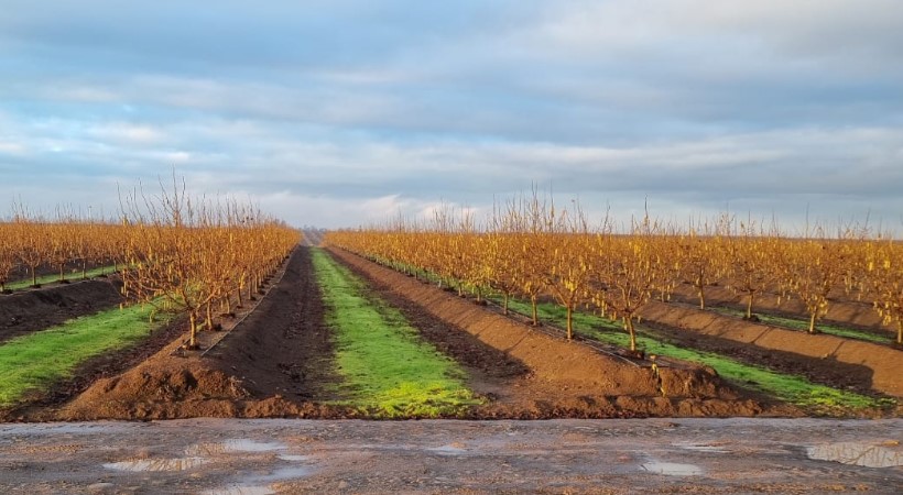 Imagen de campos agrícolas